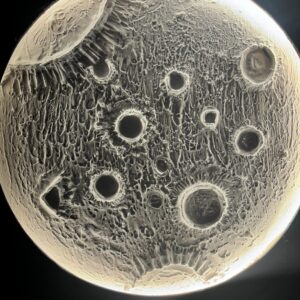 premium 3d moon night wall light